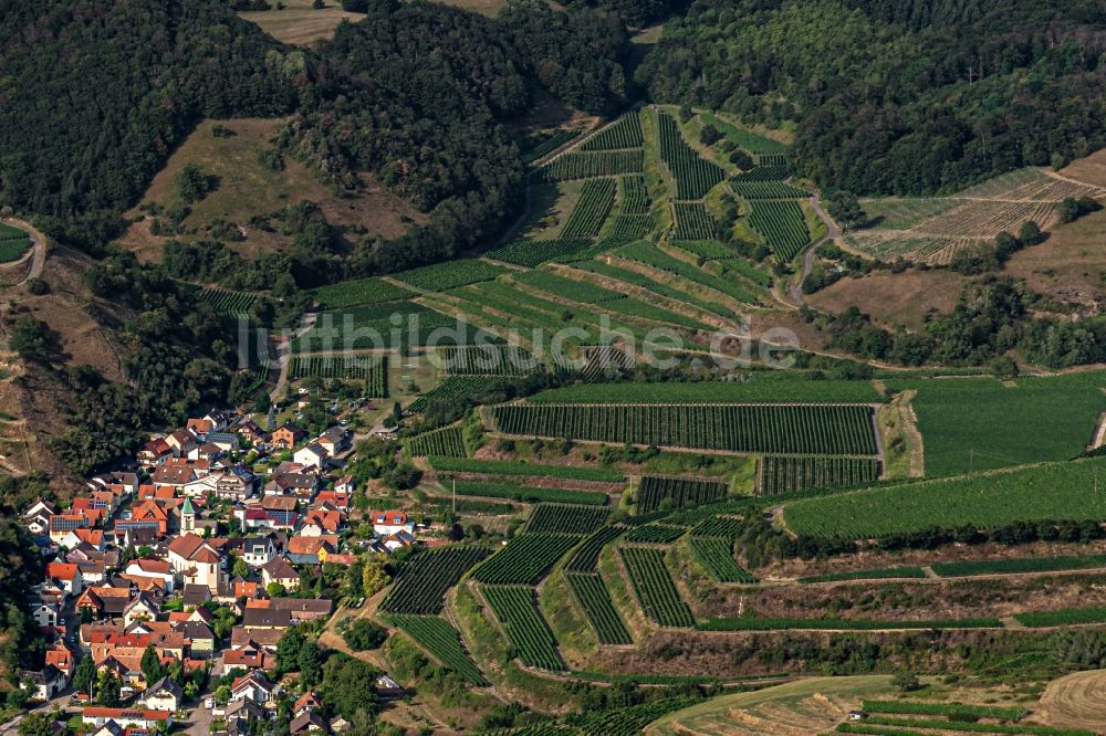 Luftbild Schelingen - Dorfkern in Schelingen im Bundesland Baden-Württemberg, Deutschland