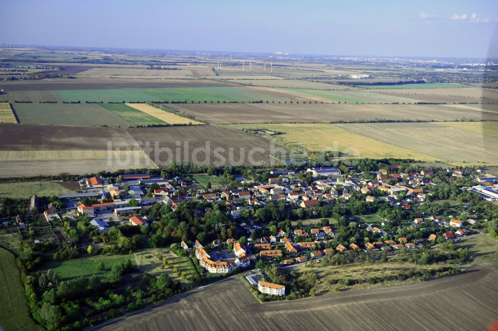 Luftaufnahme Schwaneberg - Dorfkern in Schwaneberg im Bundesland Sachsen-Anhalt, Deutschland