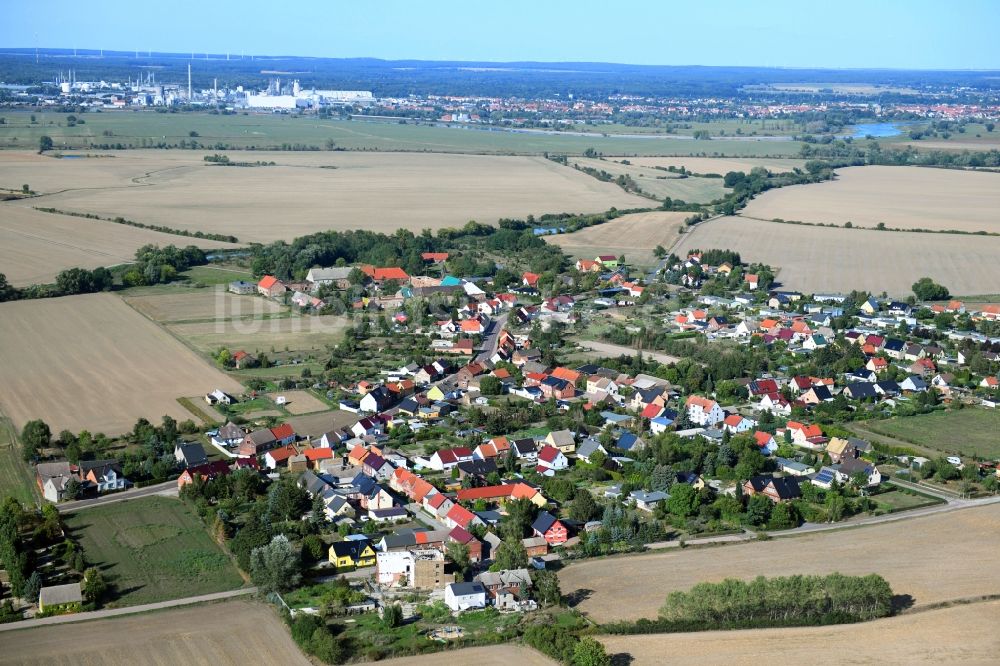Luftbild Seegrehna - Dorfkern in Seegrehna im Bundesland Sachsen-Anhalt, Deutschland