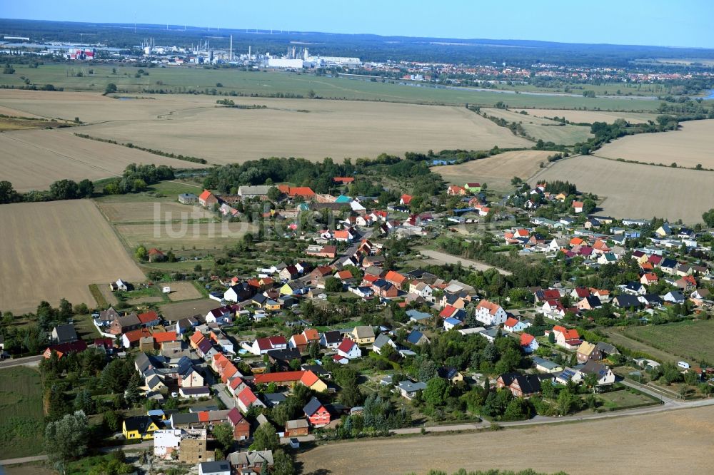 Luftaufnahme Seegrehna - Dorfkern in Seegrehna im Bundesland Sachsen-Anhalt, Deutschland
