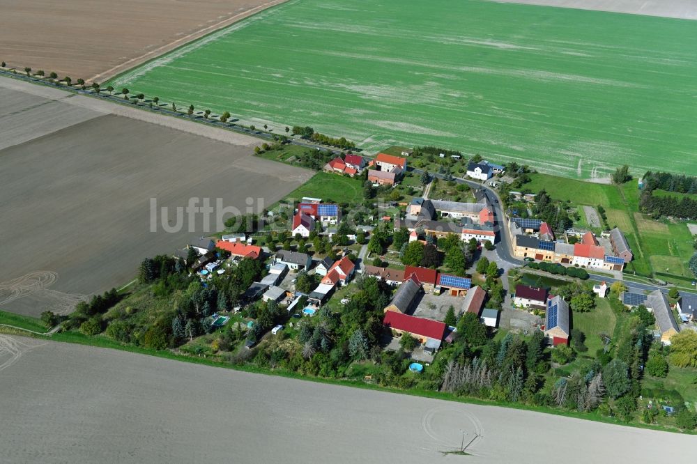 Luftbild Zallmsdorf - Dorfkern in Zallmsdorf im Bundesland Sachsen-Anhalt, Deutschland