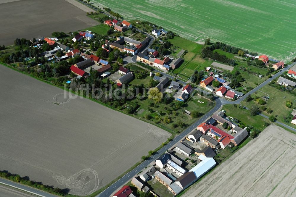 Luftaufnahme Zallmsdorf - Dorfkern in Zallmsdorf im Bundesland Sachsen-Anhalt, Deutschland