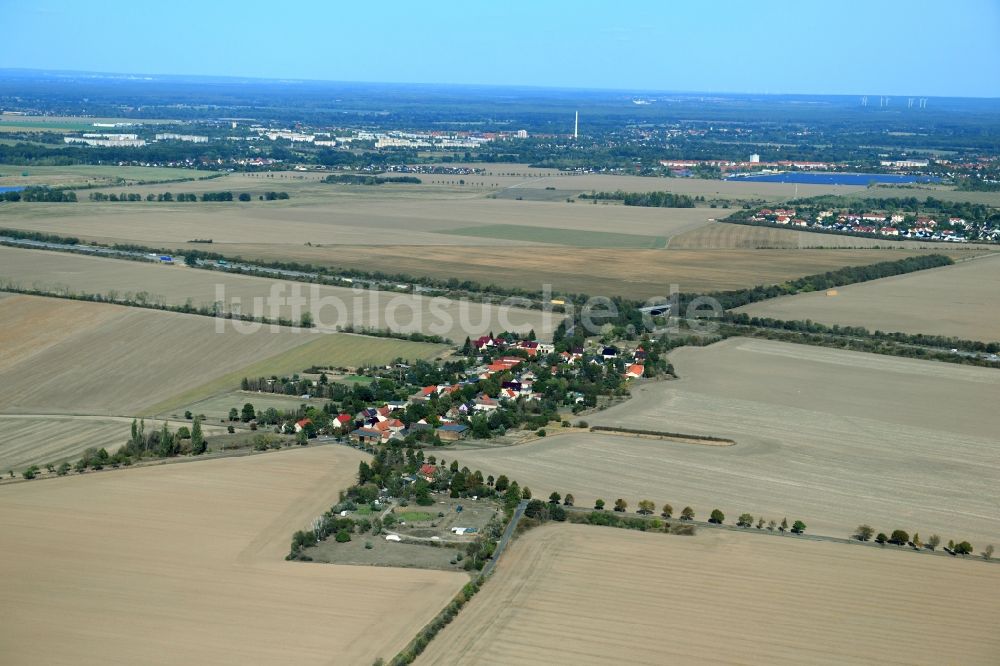 Zschepkau aus der Vogelperspektive: Dorfkern in Zschepkau im Bundesland Sachsen-Anhalt, Deutschland