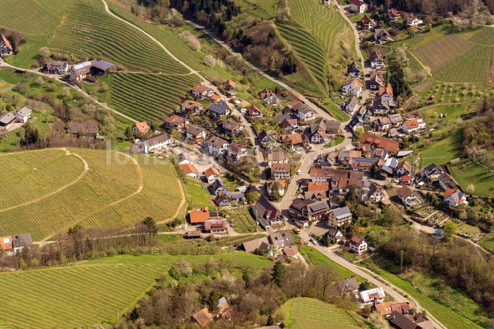 Luftbild Oberkirch - Dorfsiedlung Ringelbach am Weinbaugebiet bei Oberkirch im Bundesland Baden-Württemberg, Deutschland
