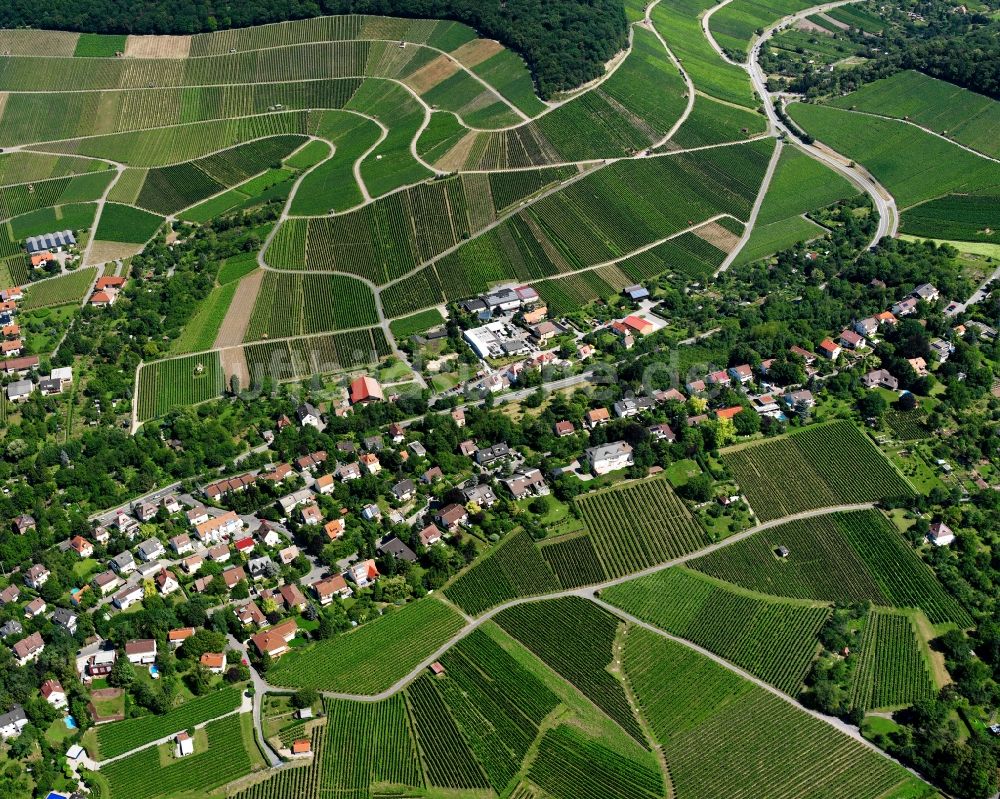 Luftbild Heilbronn - Dorfsiedlung am Weinbaugebiet in Heilbronn im Bundesland Baden-Württemberg, Deutschland