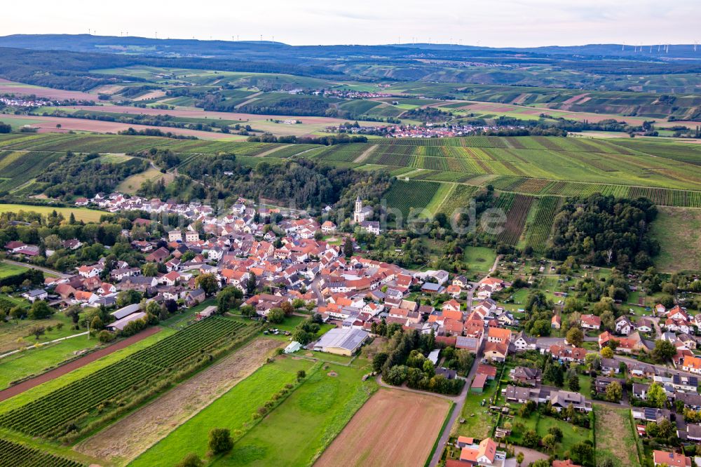 Luftaufnahme Mandel - Dorfsiedlung am Weinbaugebiet in Mandel im Bundesland Rheinland-Pfalz, Deutschland