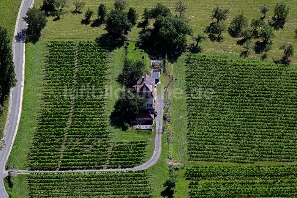 Luftaufnahme Merzhausen - Dorfsiedlung am Weinbaugebiet in Merzhausen im Bundesland Baden-Württemberg, Deutschland