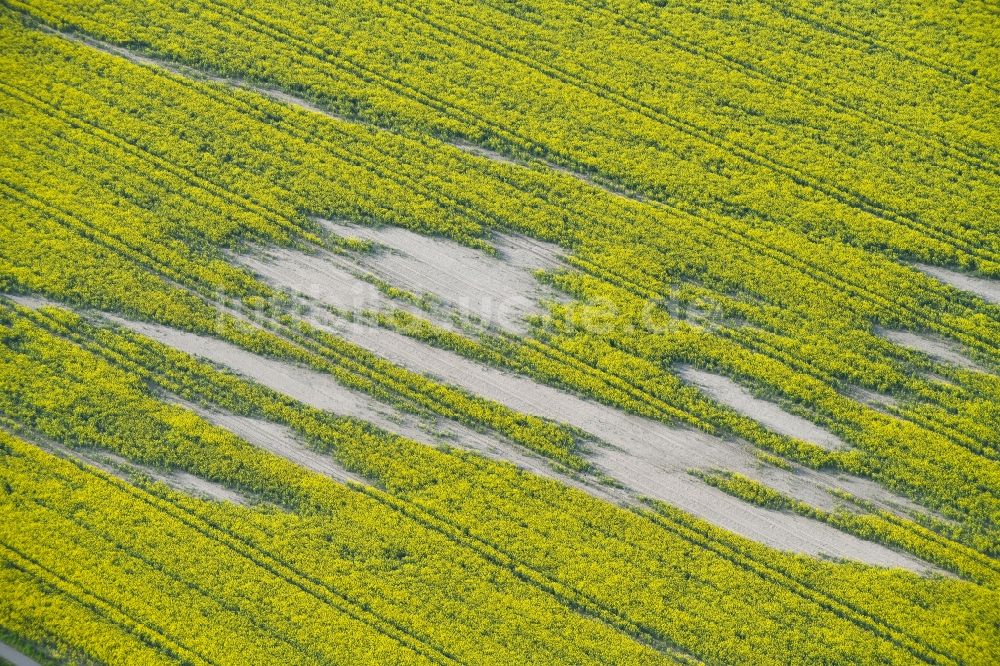 Luftaufnahme Pretzier - Durch Bodenerosion und Trockenheit geprägte Strukturen auf landwirtschaftlichen Rapsfeldern in Pretzier im Bundesland Sachsen-Anhalt, Deutschland
