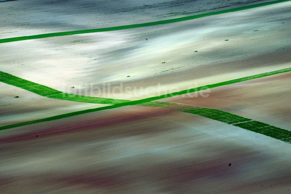 Wasserthaleben aus der Vogelperspektive: Durch Bodenerosion und Wasser geprägte Strukturen auf landwirtschaftlichen Feldern in Wasserthaleben im Bundesland Thüringen, Deutschland
