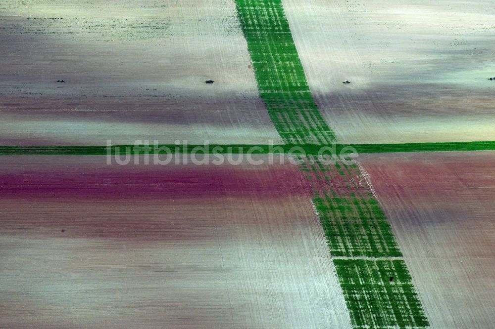 Luftbild Wasserthaleben - Durch Bodenerosion und Wasser geprägte Strukturen auf landwirtschaftlichen Feldern in Wasserthaleben im Bundesland Thüringen, Deutschland