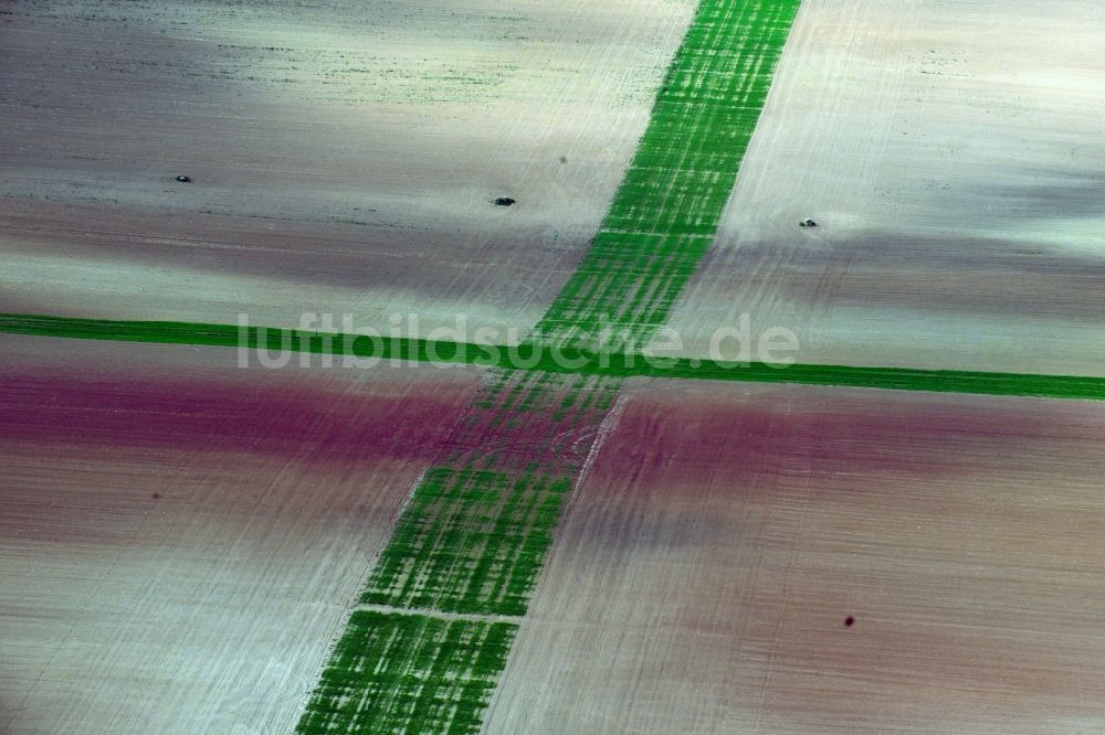 Luftaufnahme Wasserthaleben - Durch Bodenerosion und Wasser geprägte Strukturen auf landwirtschaftlichen Feldern in Wasserthaleben im Bundesland Thüringen, Deutschland