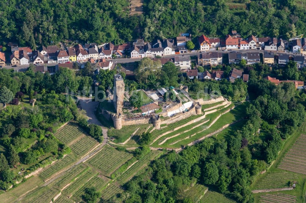 Wachenheim an der Weinstraße von oben - Ehemalige Burganlage Wachtenburg (Ruine Burg Wachenheim) in Wachenheim an der Weinstraße im Bundesland Rheinland-Pfalz, Deutschland