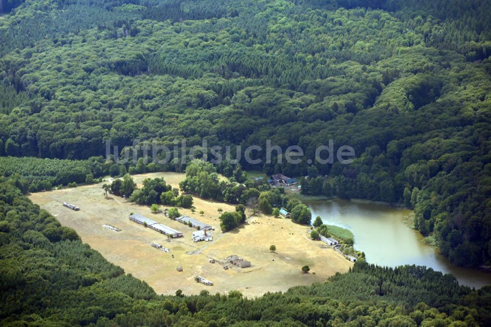 Luftbild Carpin - Ehemalige Tierzucht- Stallanlagen zur Geflügelzucht Goldenbaumer Mühle in Carpin im Bundesland Mecklenburg-Vorpommern, Deutschland