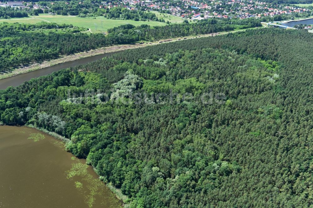 Bensdorf aus der Vogelperspektive: Eidechsenersatzquartier am Elbe-Havel-Kanal in Bensdorf im Bundesland Brandenburg