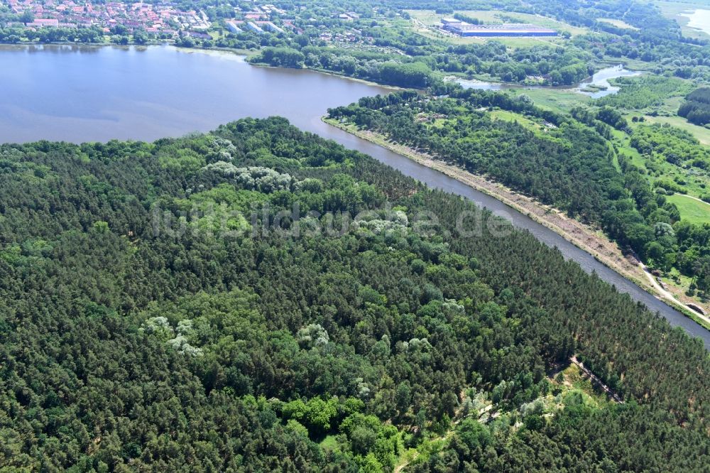 Luftbild Bensdorf - Eidechsenersatzquartier am Elbe-Havel-Kanal in Bensdorf im Bundesland Brandenburg