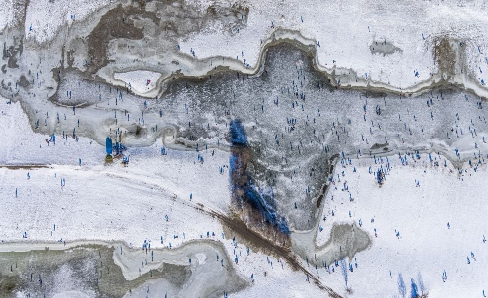 Luftbild Düsseldorf - Eis- Spaziergänger auf dem zugefrorenen Flußverlauf des Rhein im Ortsteil Niederkassel in Düsseldorf im Bundesland Nordrhein-Westfalen, Deutschland