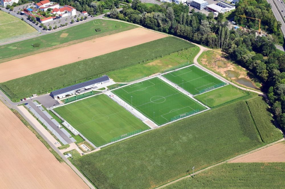 Luftaufnahme Binzen - Ensemble der Sportplatzanlagen in Binzen im Bundesland Baden-Württemberg, Deutschland