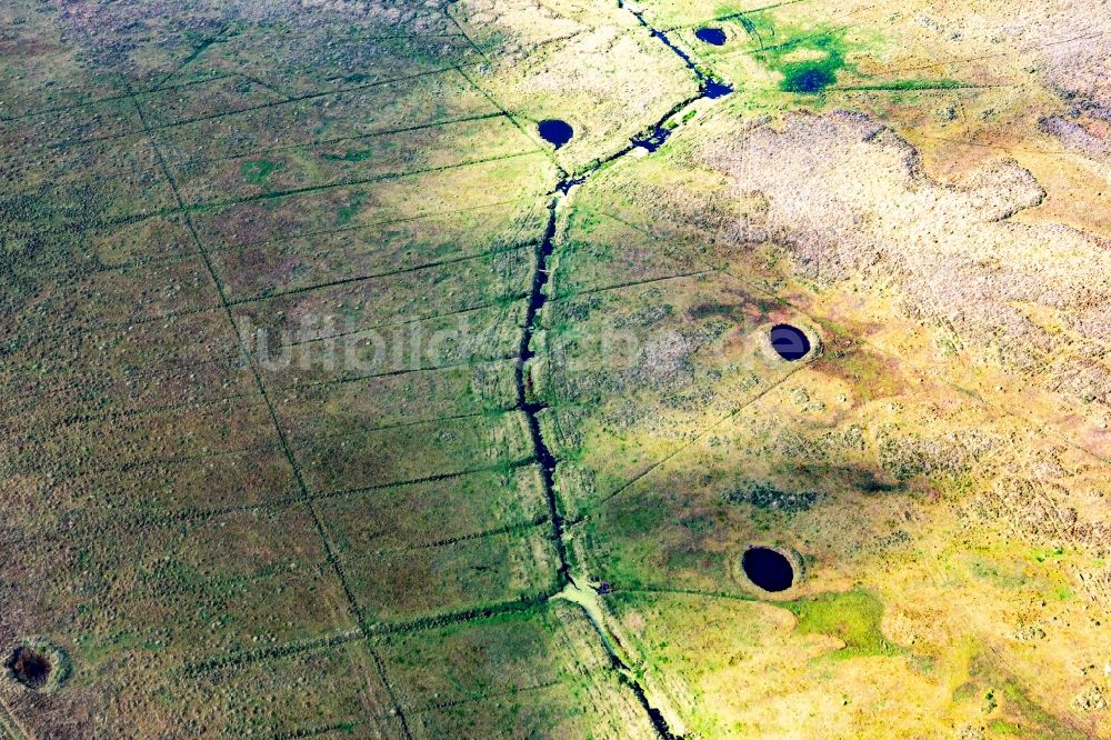 Luftbild Fanö - Entwässerung von Moor-Feldern auf der Nordseeinsel Fanö in Region Syddanmark, Dänemark