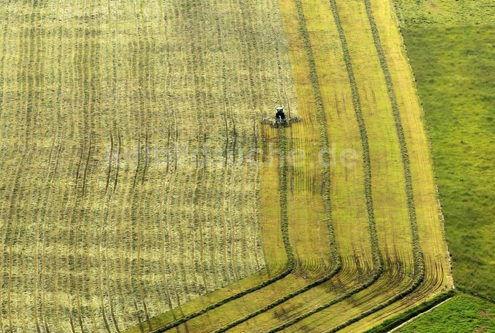 Luftbild Osthausen - Ernte auf einem Getreide- Feld bei Osthausen im Bundesland Thüringen