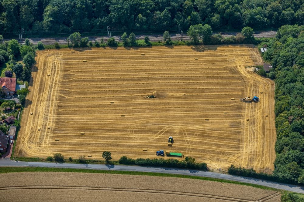 Drensteinfurt von oben - Ernteeinsatz auf einem landwirtschaftlichen Feld in Drensteinfurt im Bundesland Nordrhein-Westfalen, Deutschland