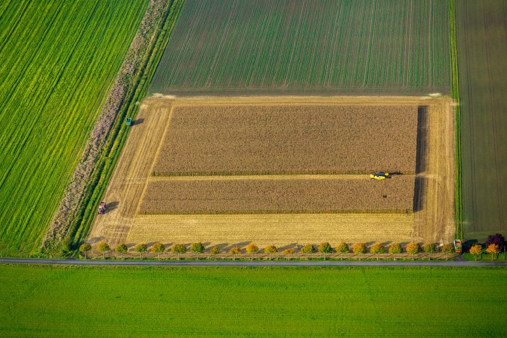 Dortmund aus der Vogelperspektive: Ernteeinsatz auf landwirtschaftlichen Feldern in Dortmund im Bundesland Nordrhein-Westfalen