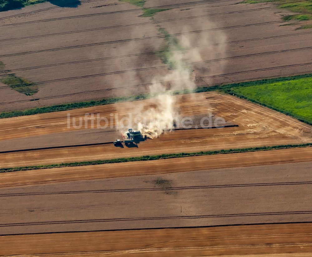 Luftbild Friedrichstadt - Ernteeinsatz auf landwirtschaftlichen Feldern in Friedrichstadt im Bundesland Schleswig-Holstein, Deutschland