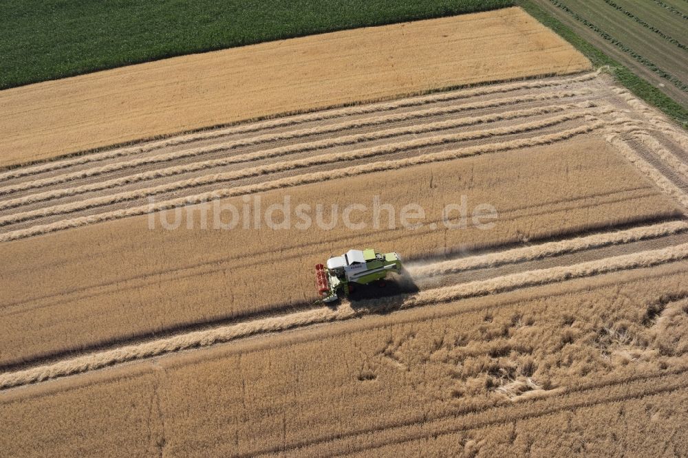 Friolzheim von oben - Ernteeinsatz auf landwirtschaftlichen Feldern in Friolzheim im Bundesland Baden-Württemberg