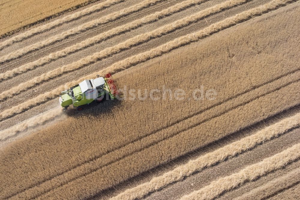Luftbild Friolzheim - Ernteeinsatz auf landwirtschaftlichen Feldern in Friolzheim im Bundesland Baden-Württemberg