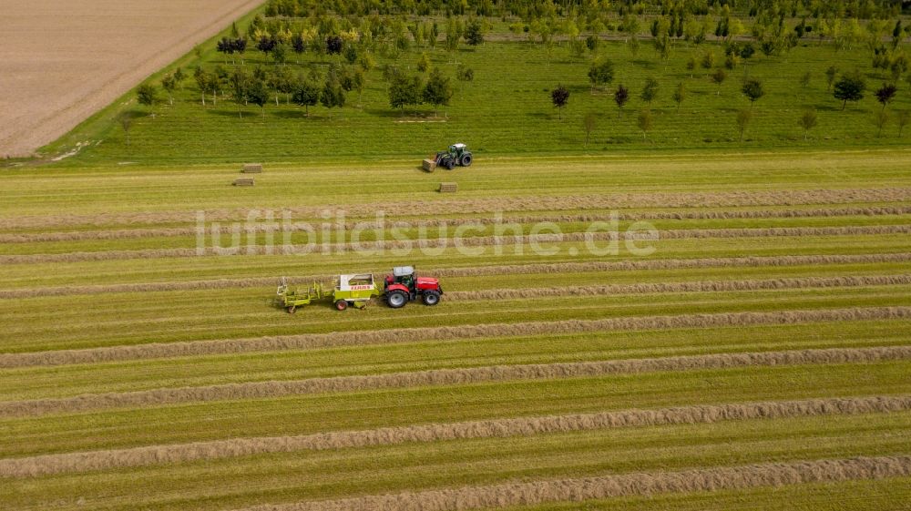 Luftbild Henrichenburg - Ernteeinsatz auf landwirtschaftlichen Feldern in Henrichenburg im Bundesland Nordrhein-Westfalen, Deutschland