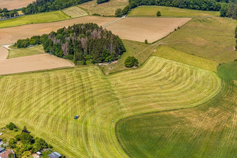 Luftbild Langenholthausen - Ernteeinsatz auf landwirtschaftlichen Feldern in Langenholthausen im Bundesland Nordrhein-Westfalen, Deutschland