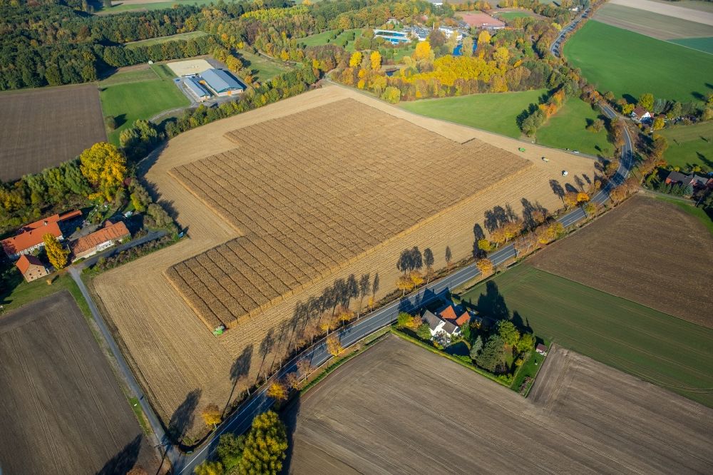Lerche von oben - Ernteeinsatz auf landwirtschaftlichen Feldern in Lerche im Bundesland Nordrhein-Westfalen