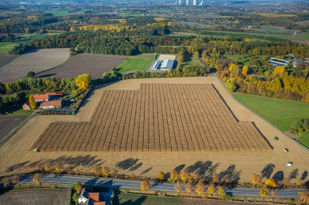 Lerche aus der Vogelperspektive: Ernteeinsatz auf landwirtschaftlichen Feldern in Lerche im Bundesland Nordrhein-Westfalen