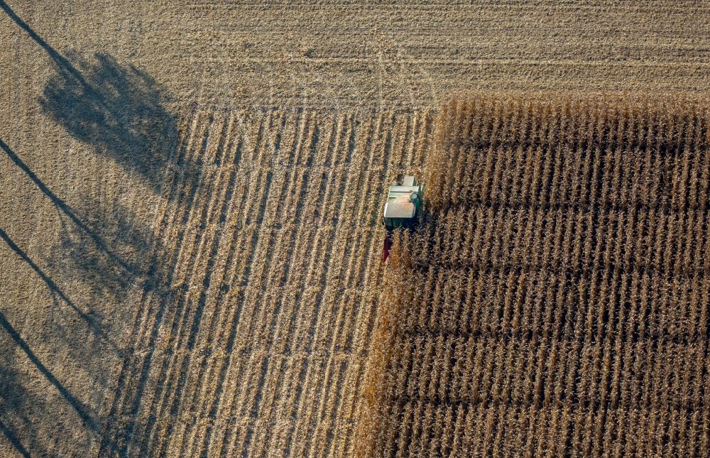 Luftbild Lerche - Ernteeinsatz auf landwirtschaftlichen Feldern in Lerche im Bundesland Nordrhein-Westfalen