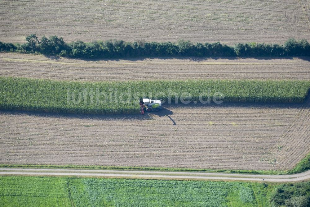 Luftbild Luhe-Wildenau - Ernteeinsatz auf landwirtschaftlichen Feldern in Luhe-Wildenau im Bundesland Bayern, Deutschland