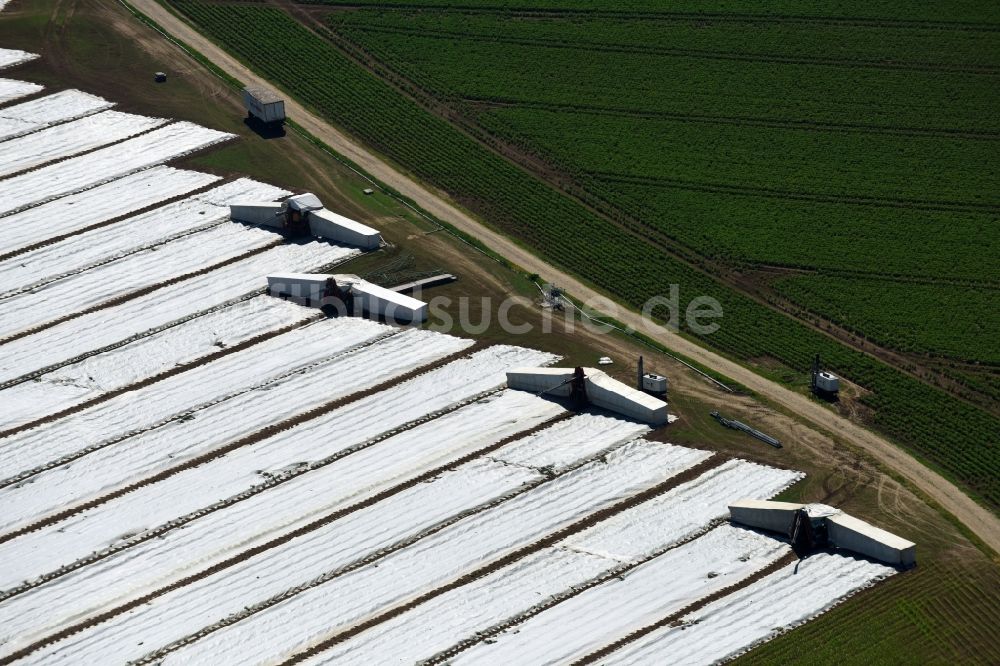 Moos aus der Vogelperspektive: Ernteeinsatz auf landwirtschaftlichen Feldern in Moos im Bundesland Bayern, Deutschland