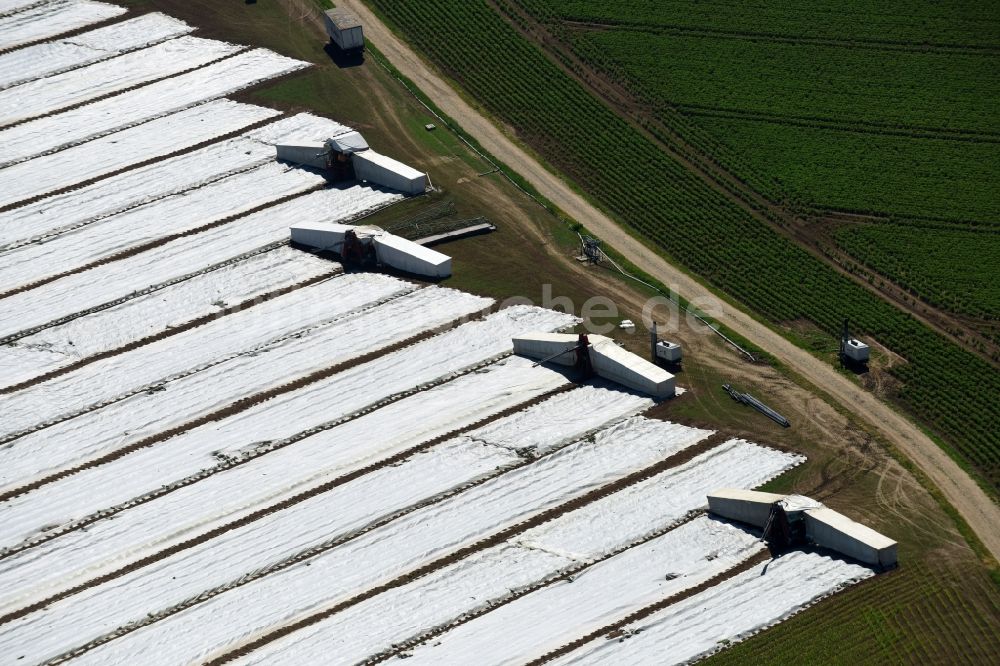 Luftbild Moos - Ernteeinsatz auf landwirtschaftlichen Feldern in Moos im Bundesland Bayern, Deutschland
