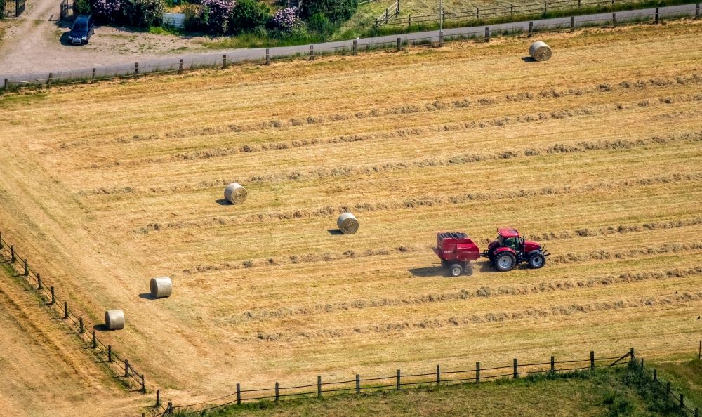 Rayen von oben - Ernteeinsatz auf landwirtschaftlichen Feldern in Rayen im Bundesland Nordrhein-Westfalen, Deutschland