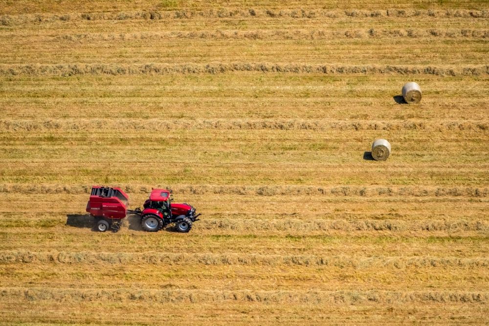 Luftbild Rayen - Ernteeinsatz auf landwirtschaftlichen Feldern in Rayen im Bundesland Nordrhein-Westfalen, Deutschland