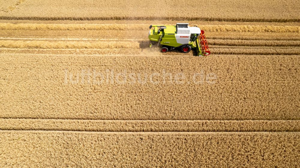 Luftbild Recklinghausen - Ernteeinsatz auf landwirtschaftlichen Feldern in Recklinghausen im Bundesland Nordrhein-Westfalen, Deutschland