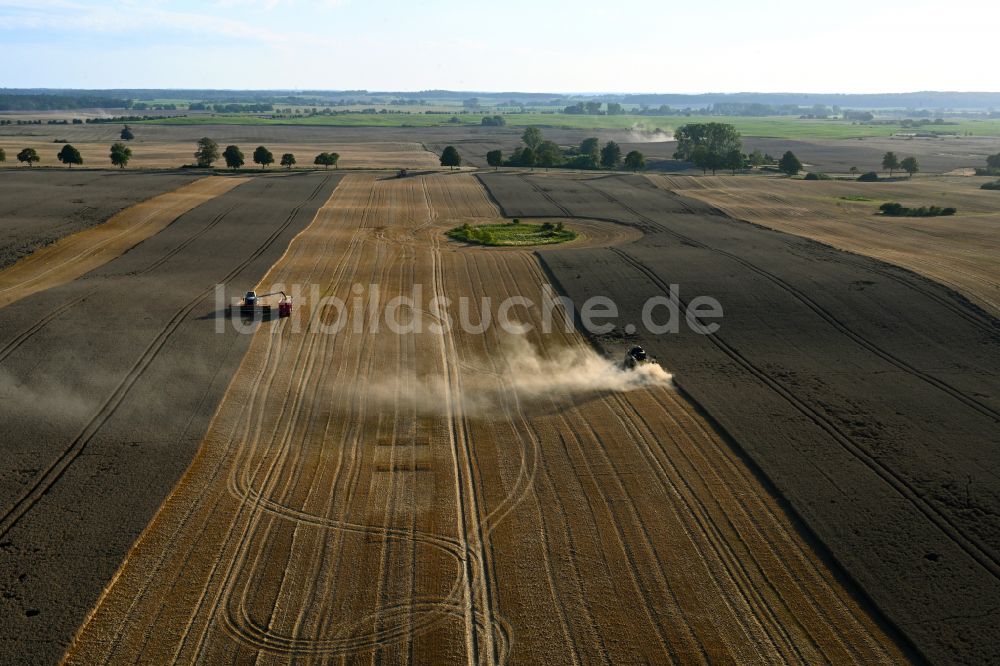Schapow von oben - Ernteeinsatz auf landwirtschaftlichen Feldern in Schapow im Bundesland Brandenburg, Deutschland