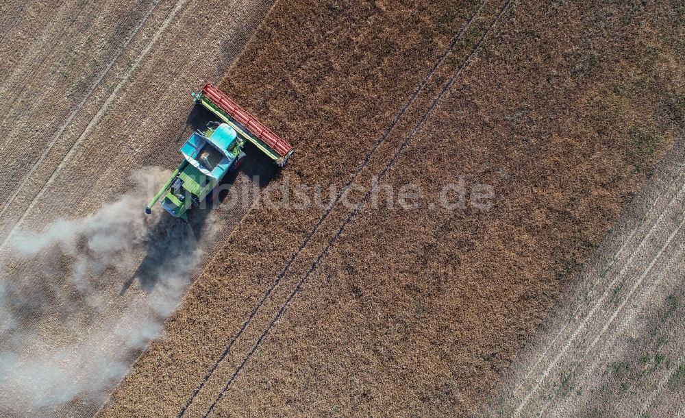 Treplin aus der Vogelperspektive: Ernteeinsatz auf landwirtschaftlichen Feldern in Treplin im Bundesland Brandenburg, Deutschland