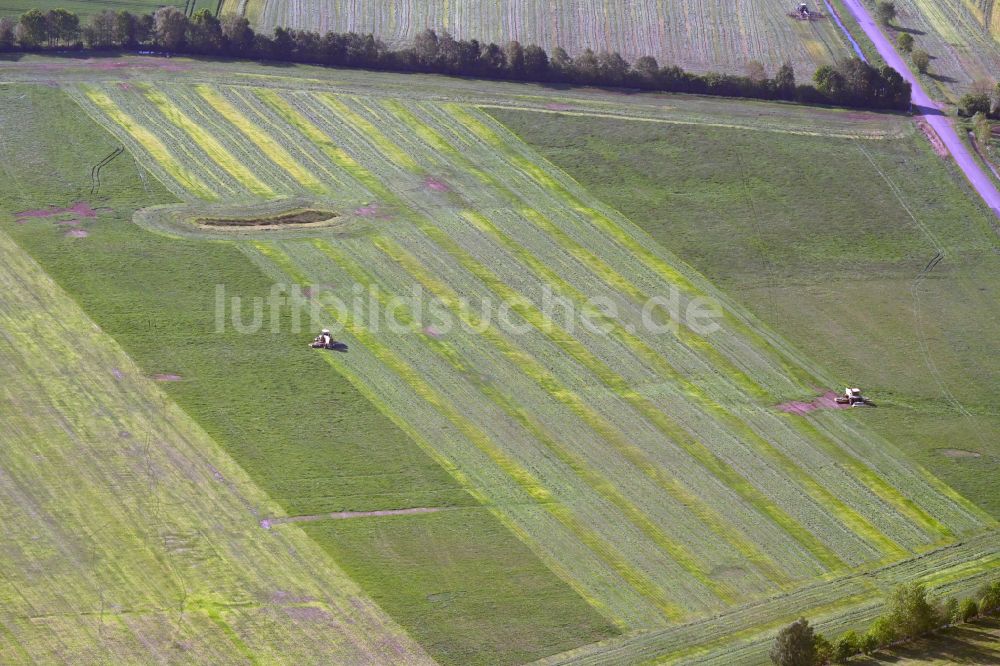 Uelitz aus der Vogelperspektive: Ernteeinsatz auf landwirtschaftlichen Feldern in Uelitz im Bundesland Mecklenburg-Vorpommern, Deutschland