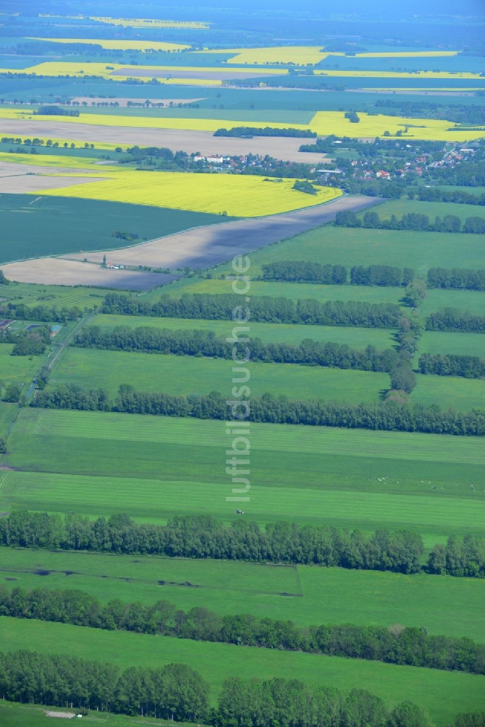 Luftaufnahme Manker - Feld- Landschaft mit Baumreihen - Begrenzungen bei Manker im Bundesland Brandenburg