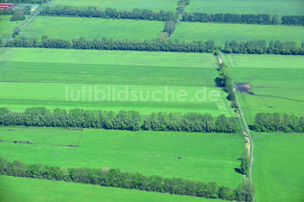 Luftaufnahme Manker - Feld- Landschaft mit Baumreihen - Begrenzungen bei Manker im Bundesland Brandenburg
