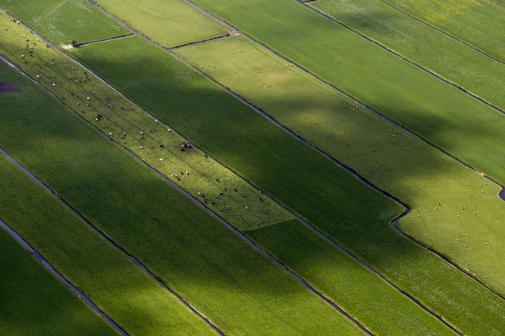 Luftaufnahme Naarden - Feld- Landschaft mit Bewässerungsgräben bei Naarden in Nordholland - Niederlanden