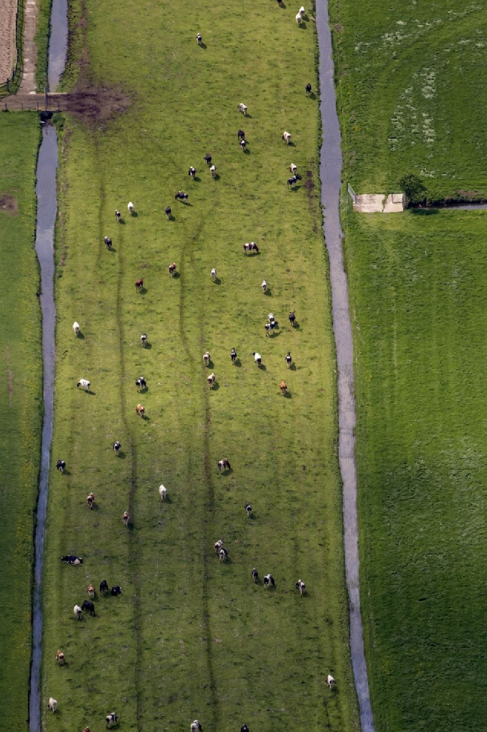Naarden von oben - Feld- Landschaft mit Bewässerungsgräben bei Naarden in Nordholland - Niederlanden