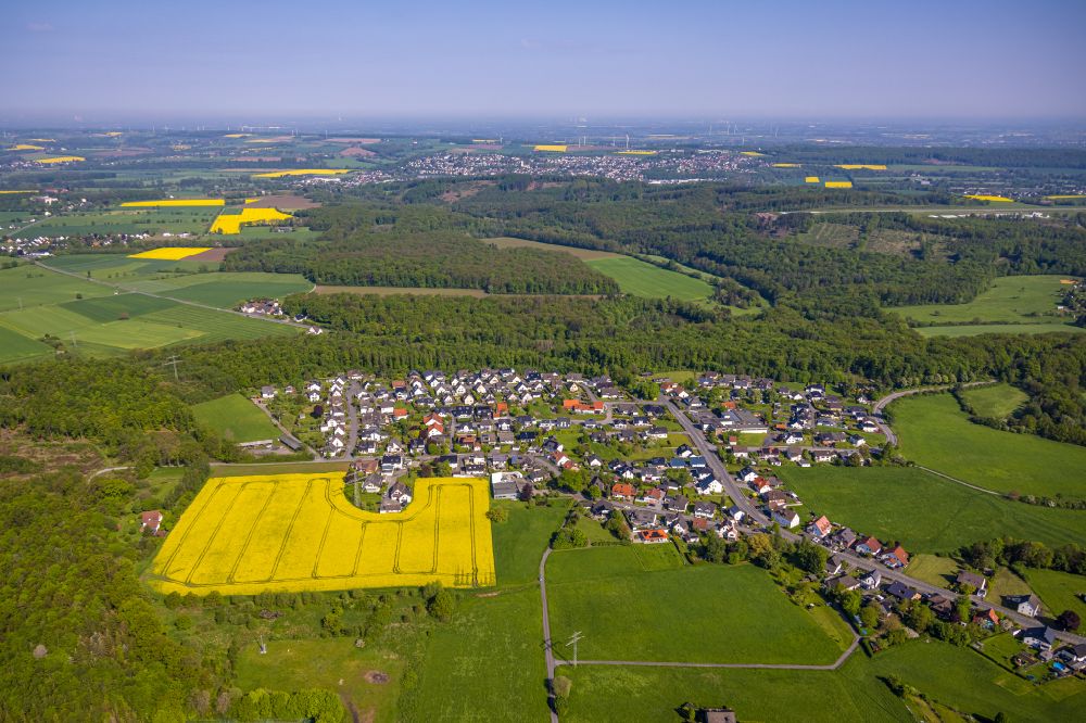 Luftaufnahme Arnsberg - Feld- Landschaft gelb blühender Raps- Blüten in Arnsberg im Bundesland Nordrhein-Westfalen, Deutschland