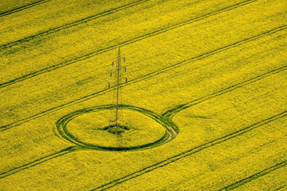 Luftaufnahme Bad Wünnenberg - Feld- Landschaft gelb blühender Raps- Blüten in Bad Wünnenberg im Bundesland Nordrhein-Westfalen, Deutschland