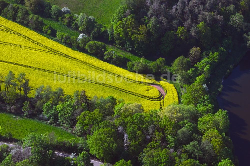 Luftbild Mansfeld - Feld- Landschaft gelb blühender Raps- Blüten bei Mansfeld im Bundesland Sachsen-Anhalt, Deutschland