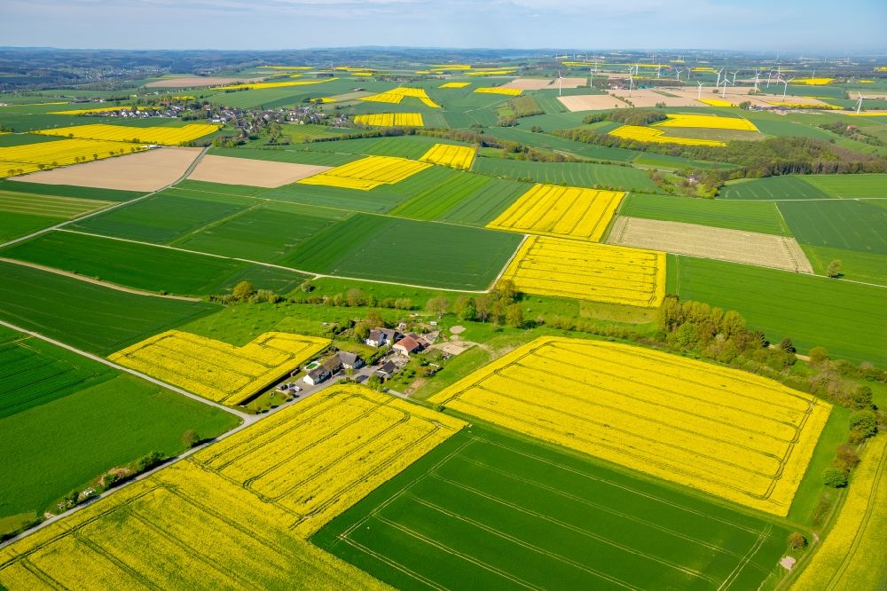 Luftbild Belecke - Feld- Landschaft gelb blühender Raps- Blüten in Belecke im Bundesland Nordrhein-Westfalen, Deutschland
